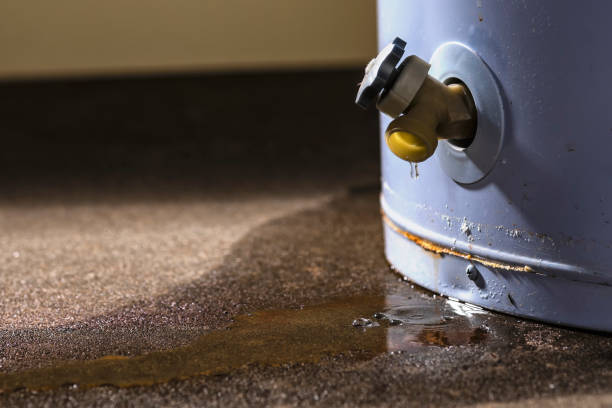 Best Water damage cleanup near me  in Maysville, KY