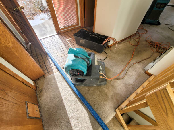 Best Water damage restoration near me  in Maysville, KY