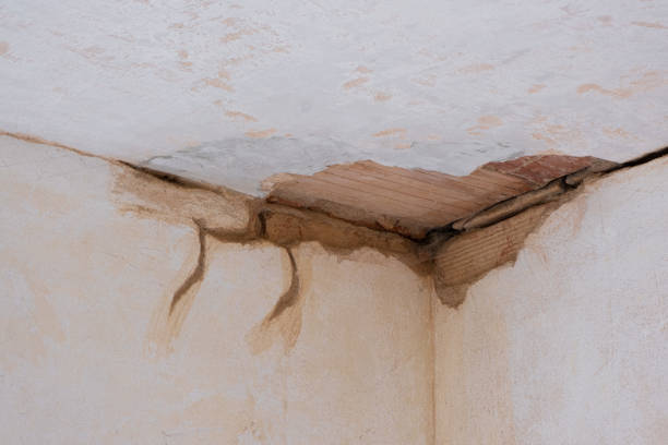 Water damage restoration mold remediation