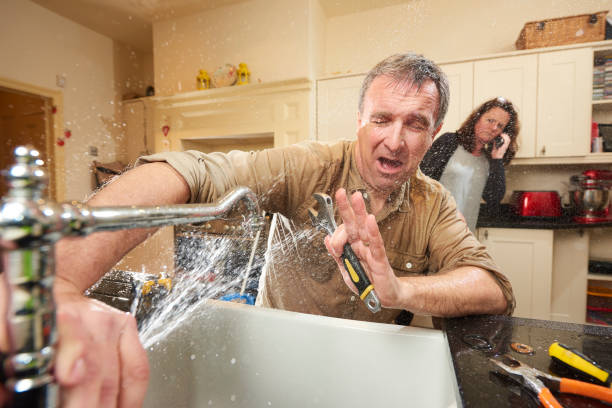 Best Flood damage cleanup  in Maysville, KY